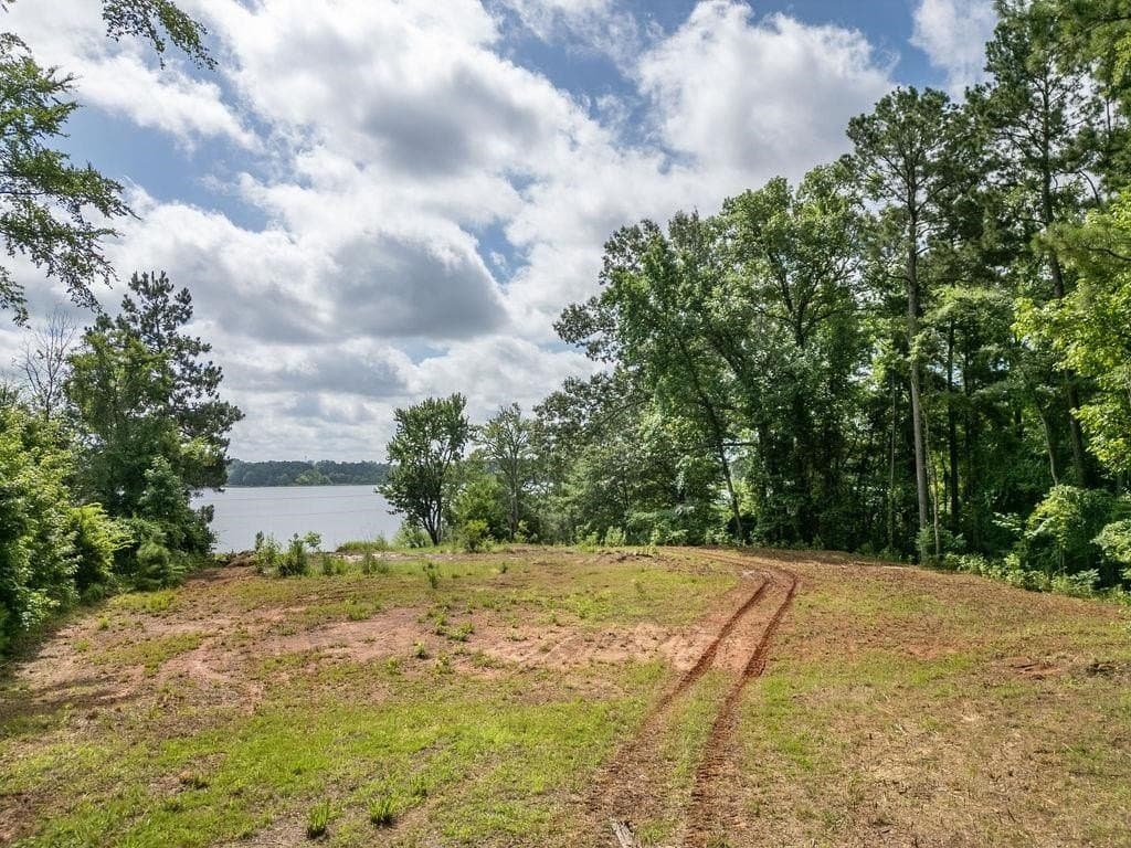 3 acres in Morris County - photo 16