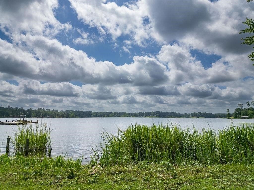 3 acres in Morris County - photo 8