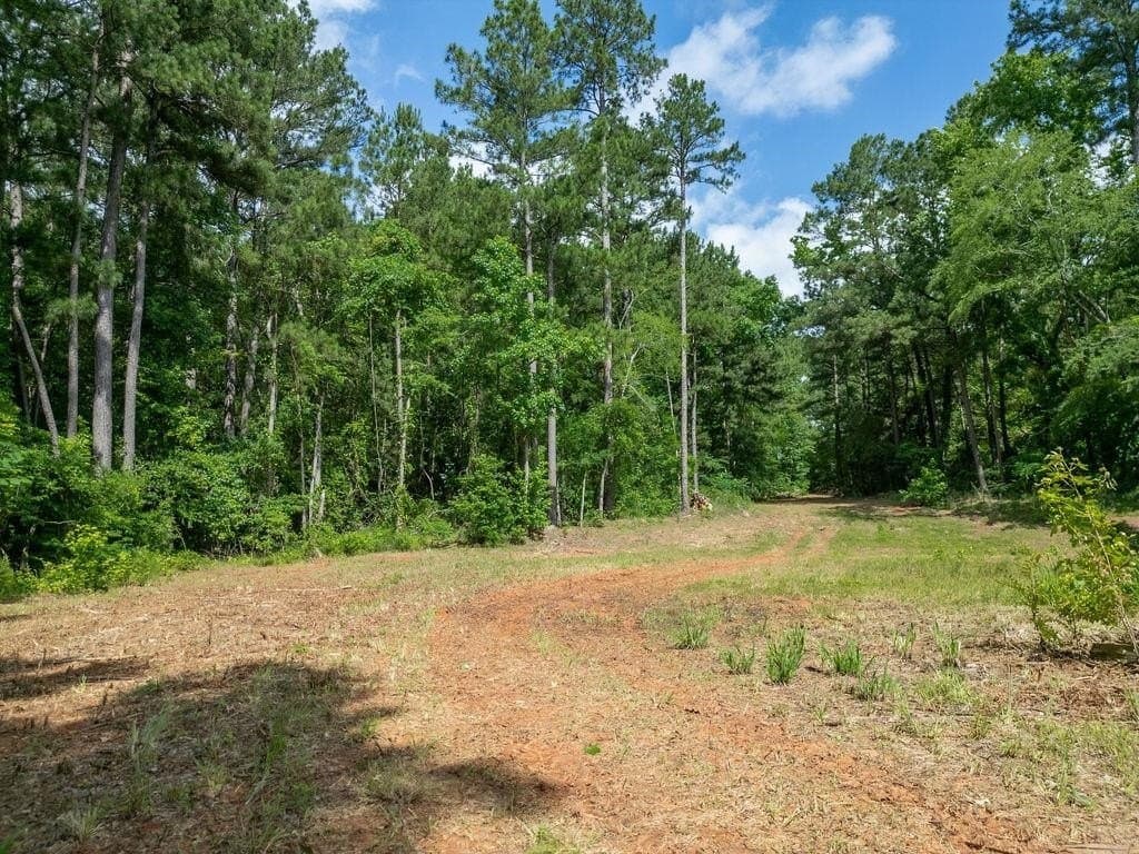 3 acres in Morris County - photo 23