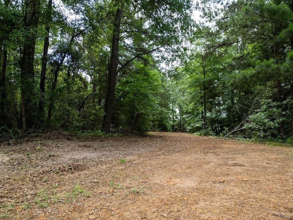 3 acres in Morris County gallery image 3