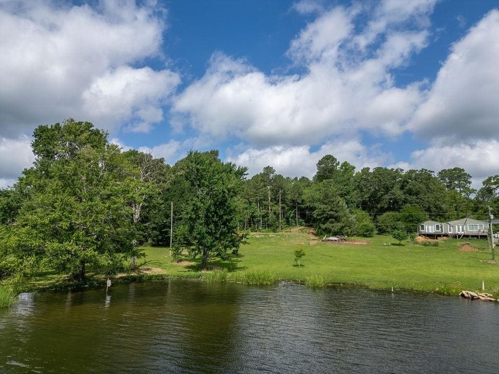 3 acres in Morris County - photo 29