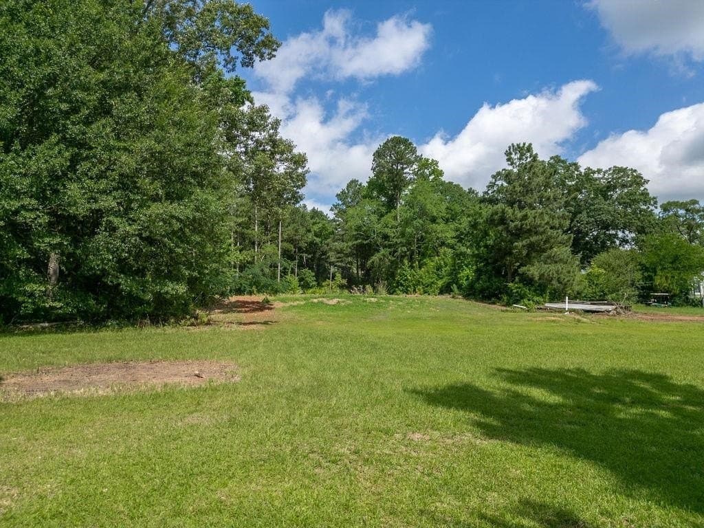 3 acres in Morris County - photo 13