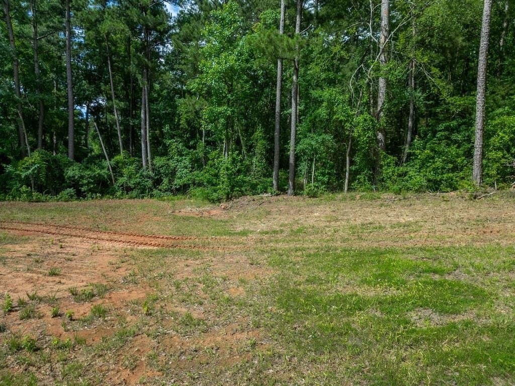 3 acres in Morris County - photo 26