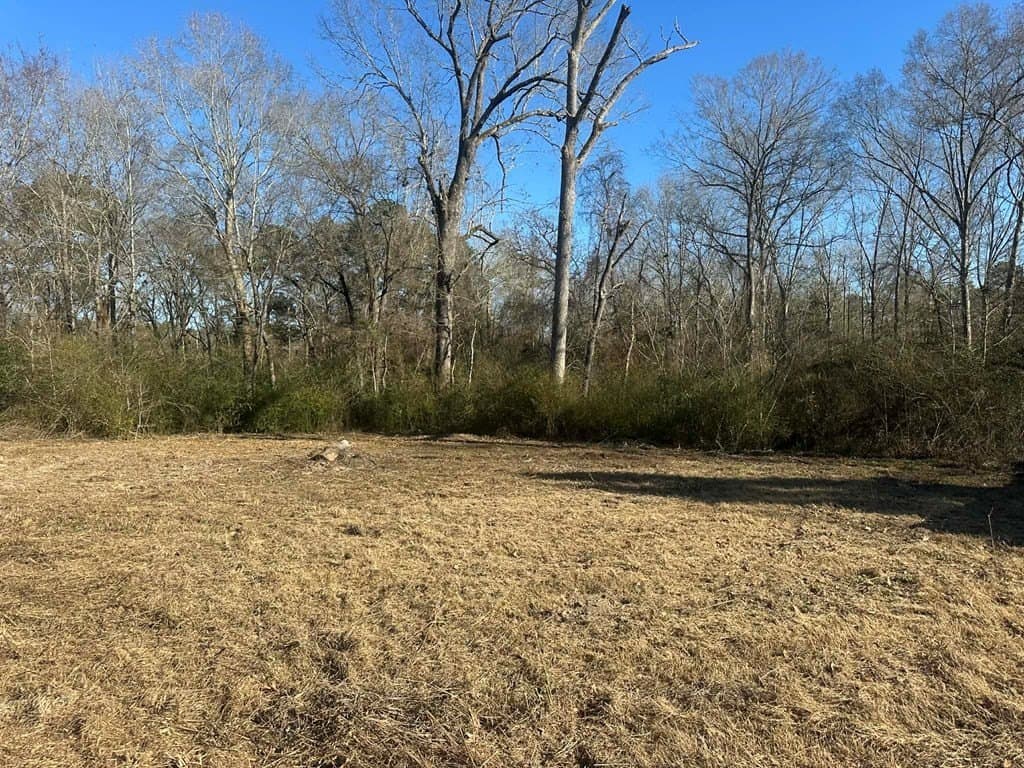 80 acres in Texas County - photo 8