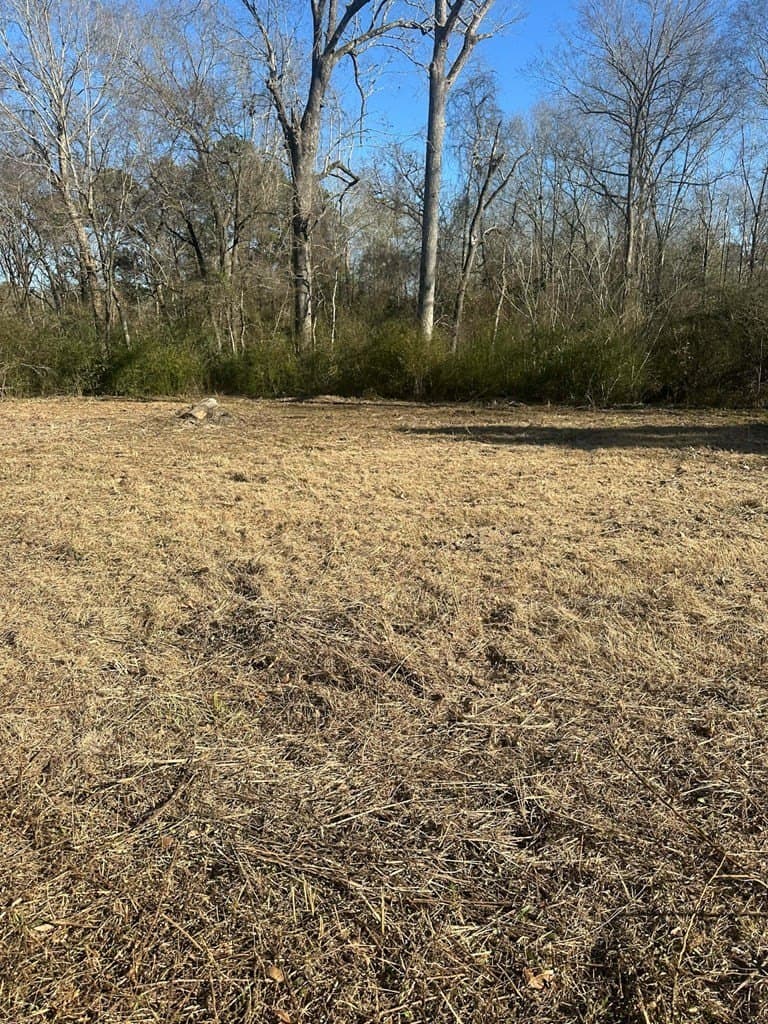 80 acres in Texas County - photo 9
