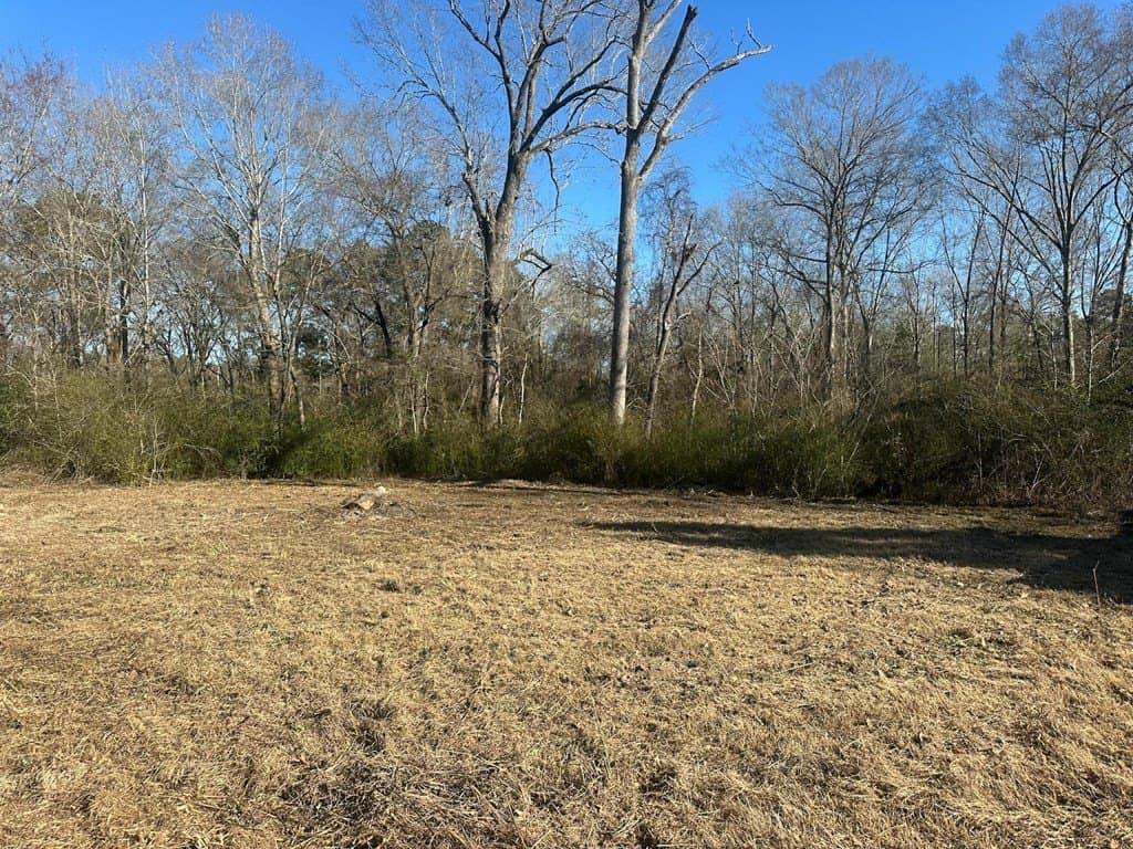 80 acres in Texas County - photo 10