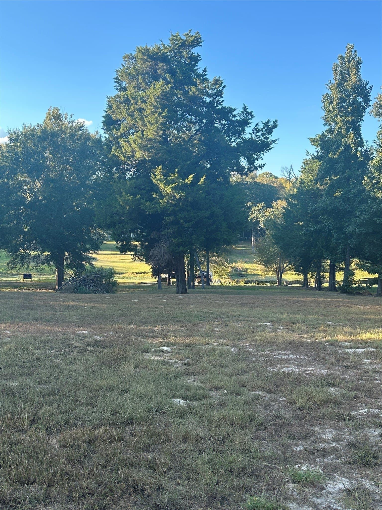 1.32 acres in Henderson County - photo 4