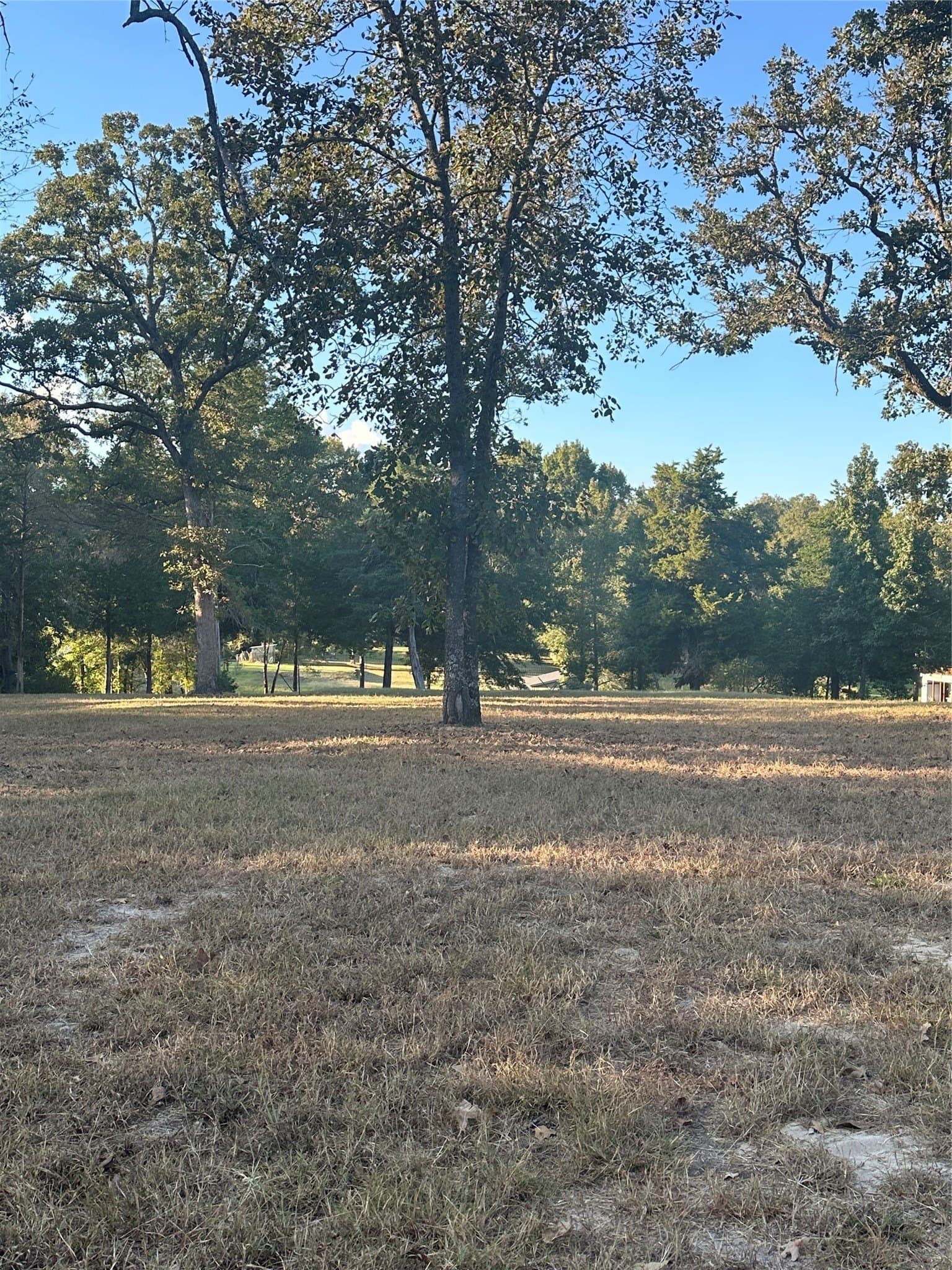 1.32 acres in Henderson County - photo 3