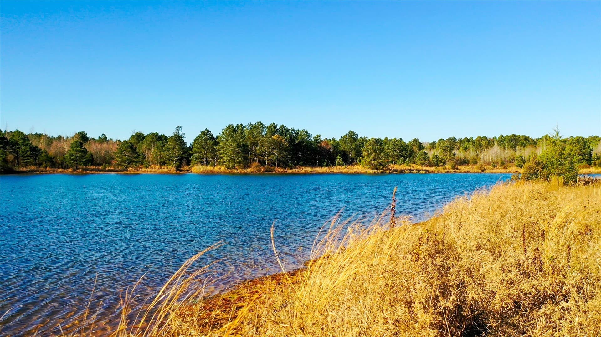 186 acres in Marion County gallery image 2