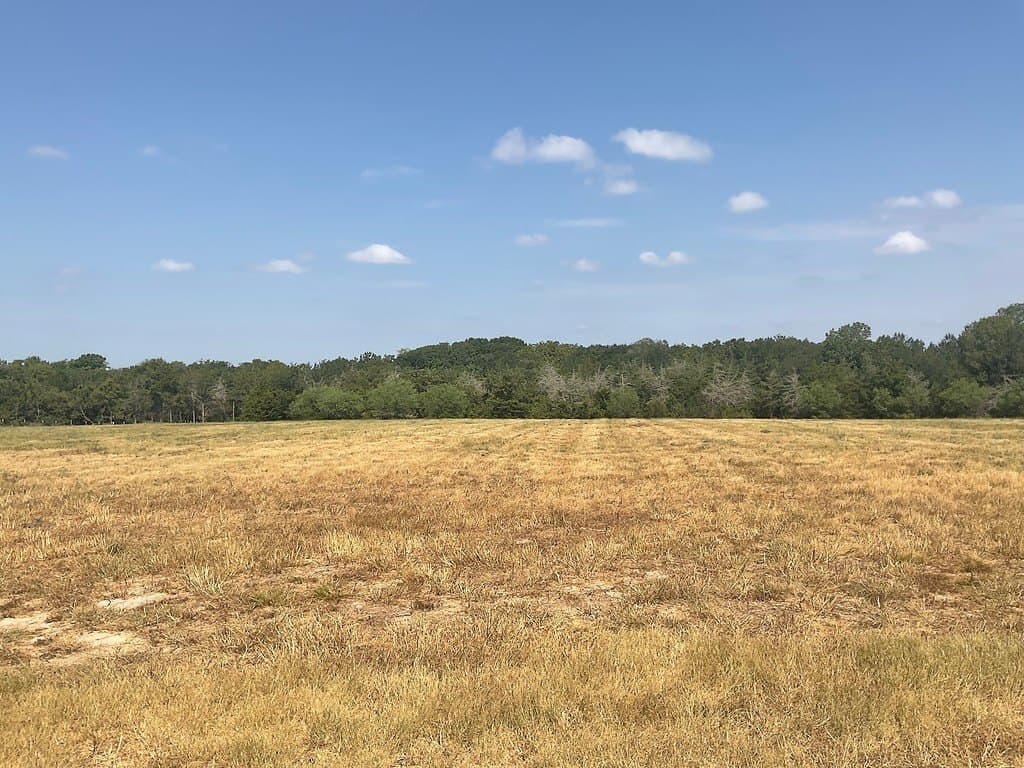 11.65 acres in Washington County - photo 4