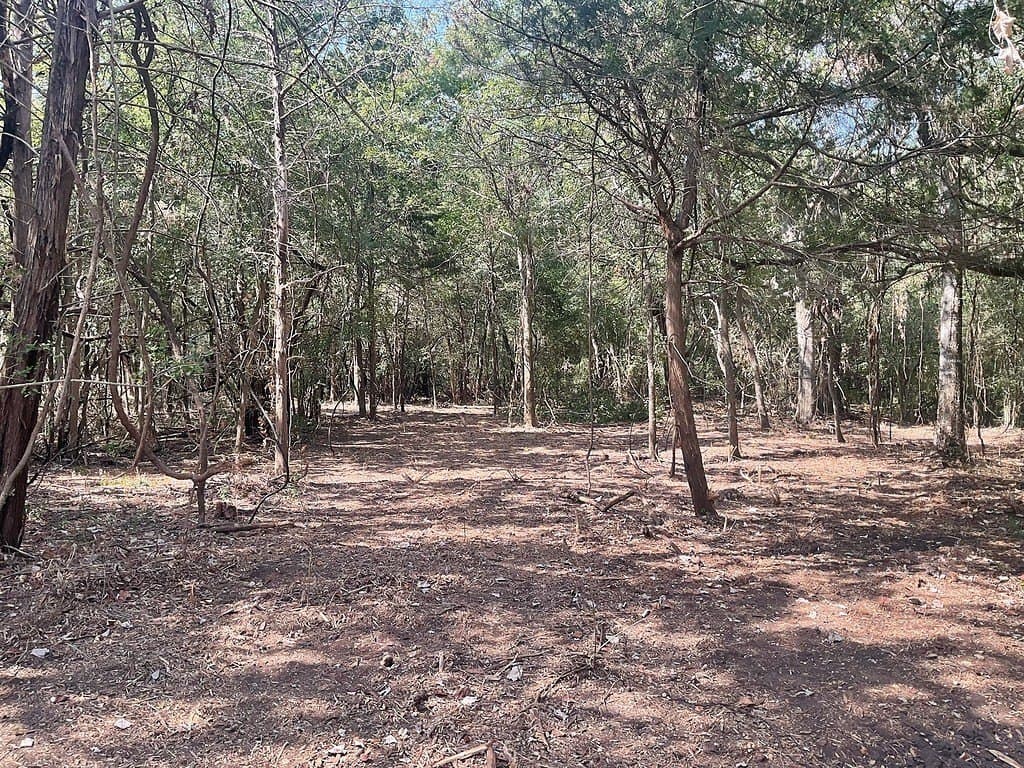 11.65 acres in Washington County - photo 3