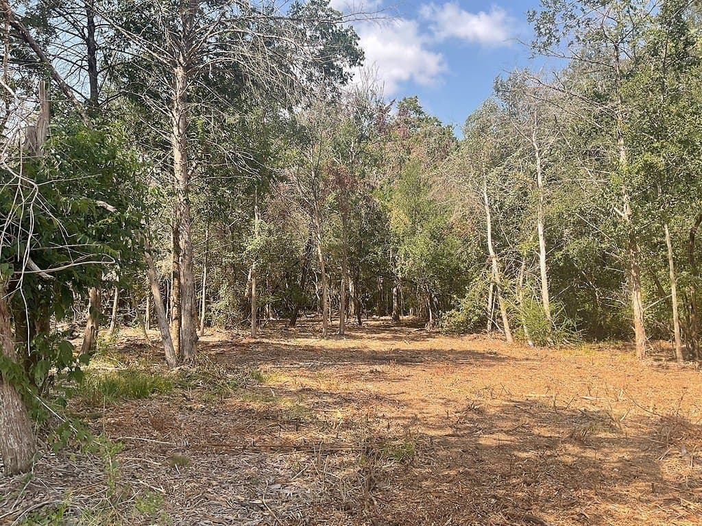 11.65 acres in Washington County - photo 5