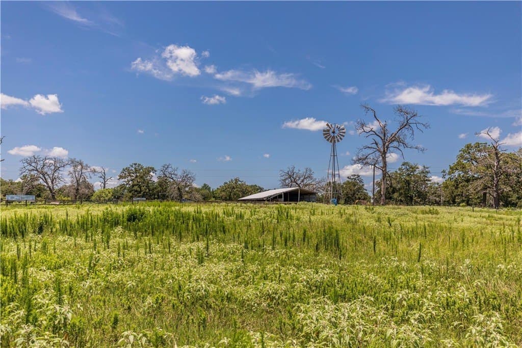 60.52 acres in AUSTIN County - photo 9
