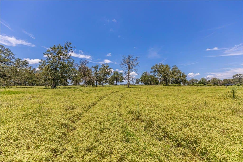 60.52 acres in AUSTIN County - photo 4