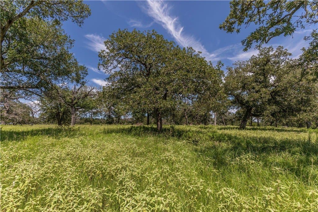 60.52 acres in AUSTIN County - photo 14