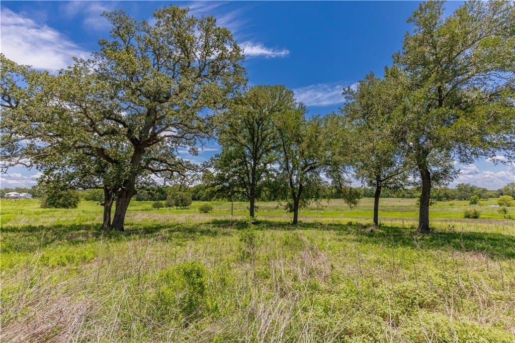 60.52 acres in AUSTIN County - photo 2
