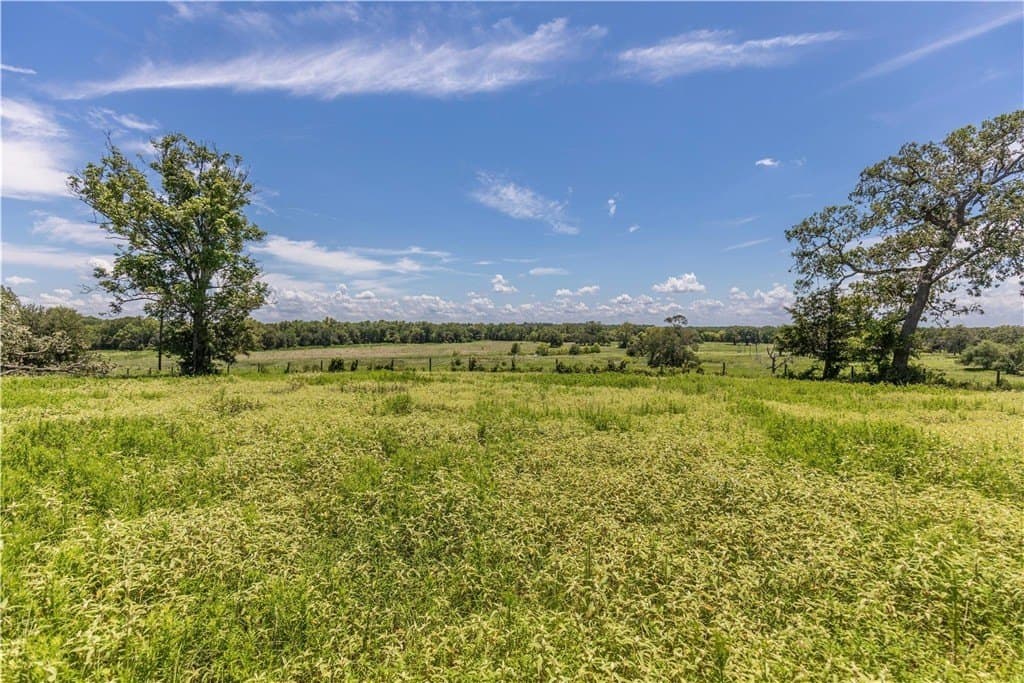 60.52 acres in AUSTIN County - photo 5