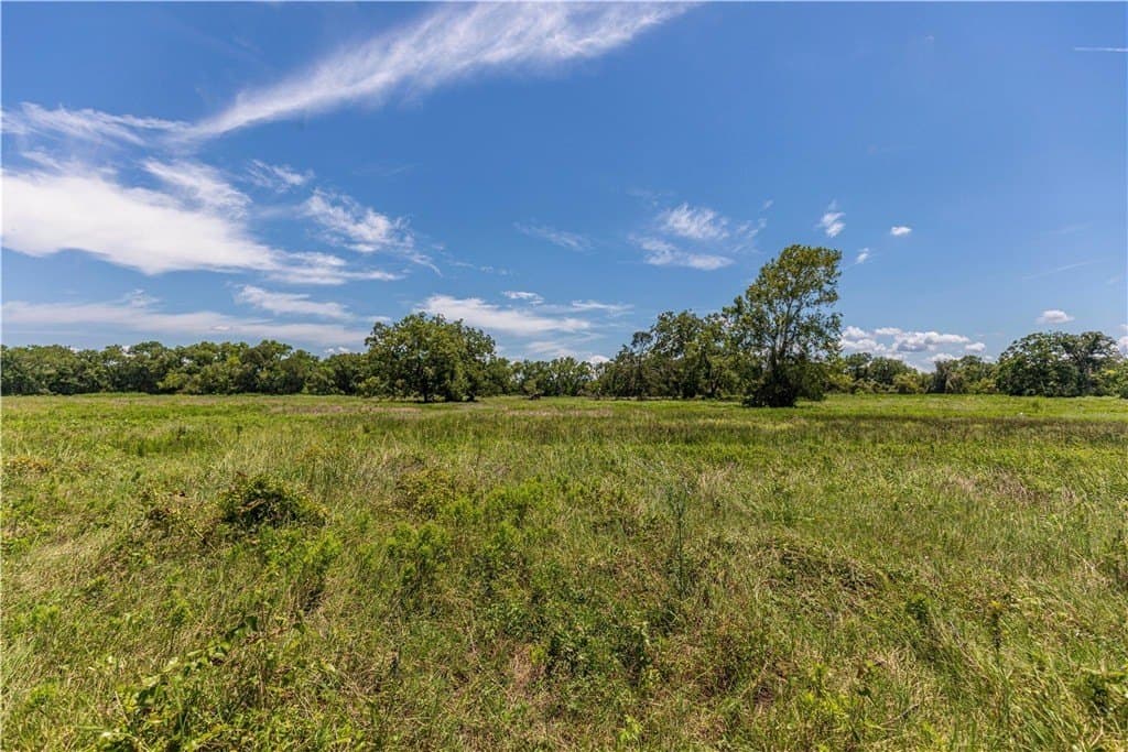 60.52 acres in AUSTIN County - photo 8