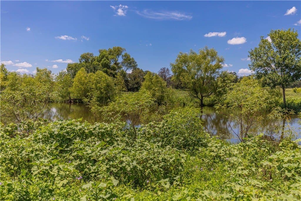60.52 acres in AUSTIN County - photo 12