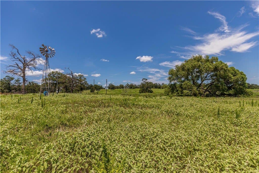 60.52 acres in AUSTIN County - photo 7