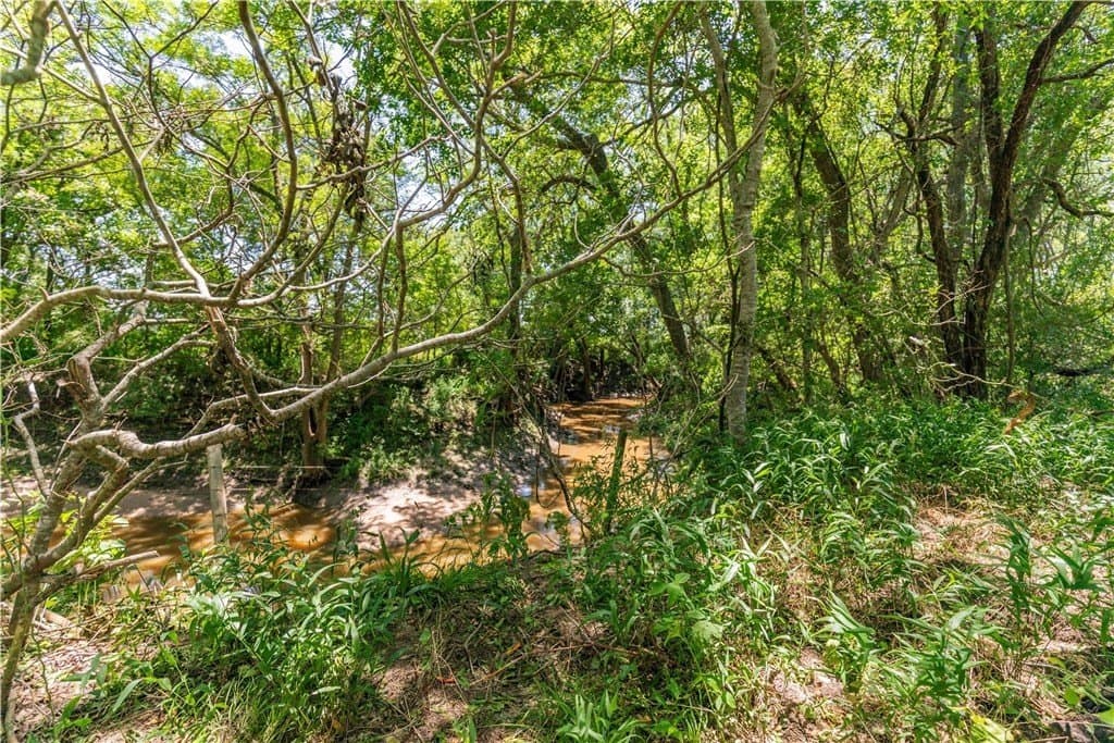 60.52 acres in AUSTIN County - photo 10