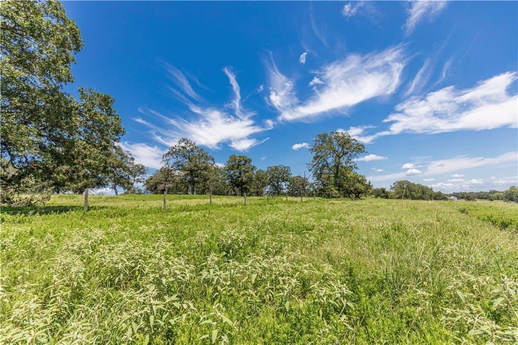 60.52 acres in AUSTIN County - photo 6