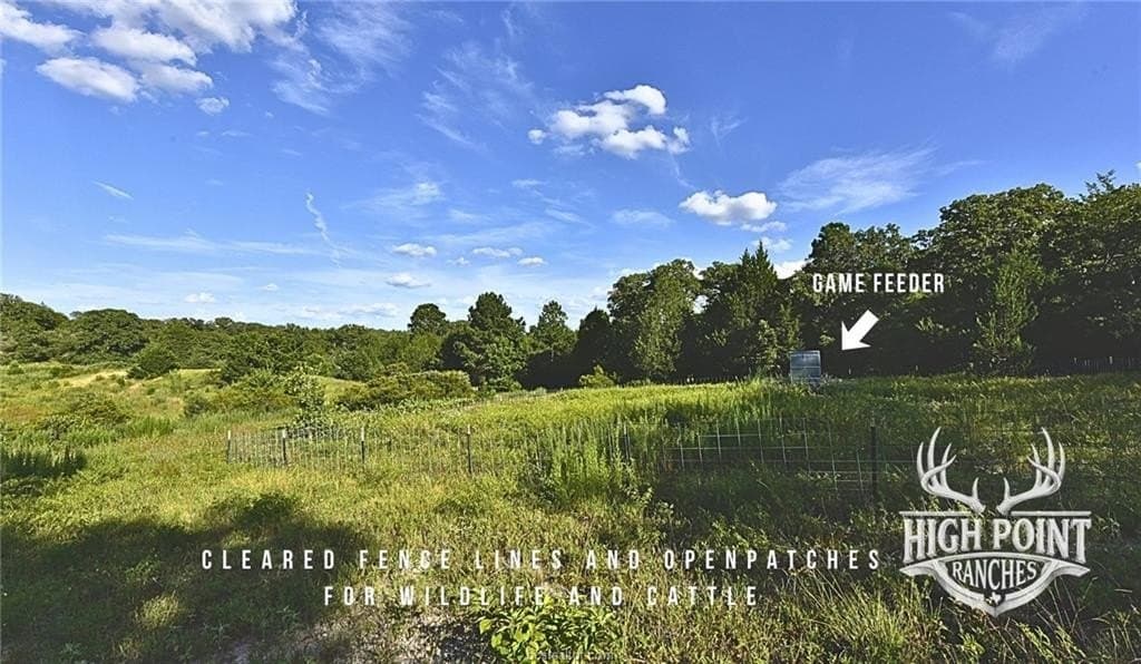 175 acres in Lee County - photo 8