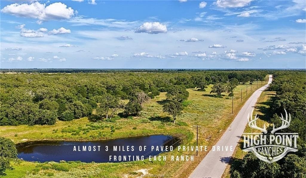 175 acres in Lee County gallery image 4