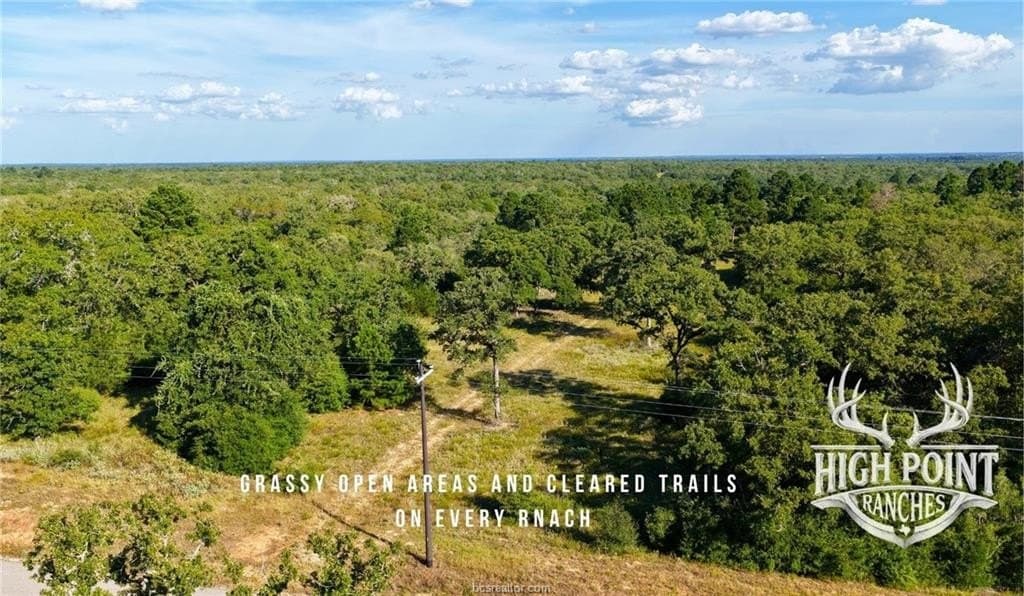 175 acres in Lee County - photo 6