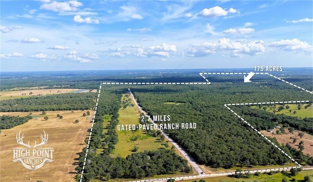 175 acres in Lee County gallery image 2