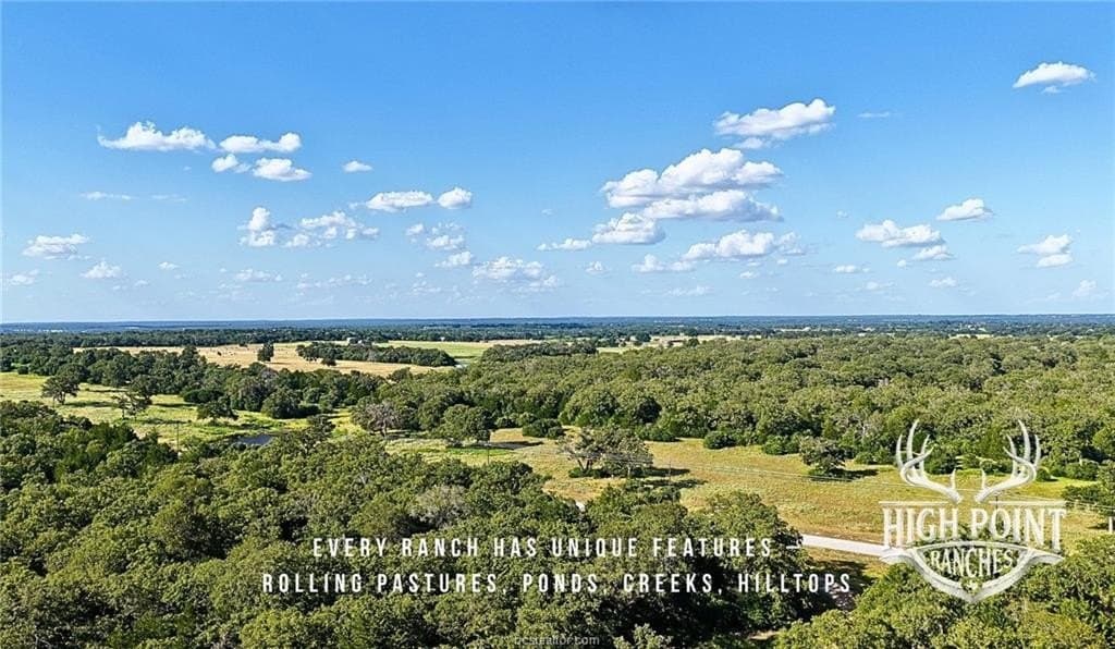 175 acres in Lee County gallery image 3