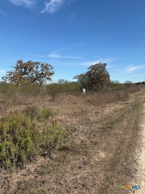 15 acres in Goliad County - photo 6