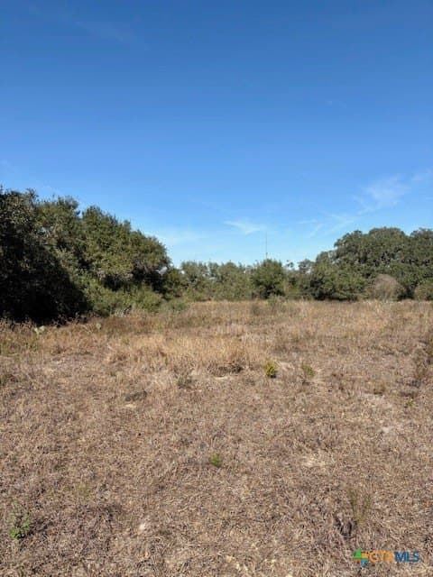 15 acres in Goliad County gallery image 3