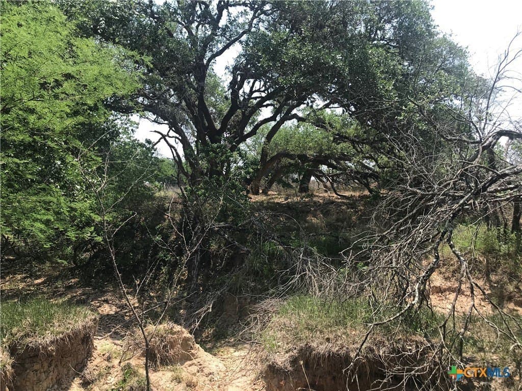 15 acres in Goliad County - photo 11