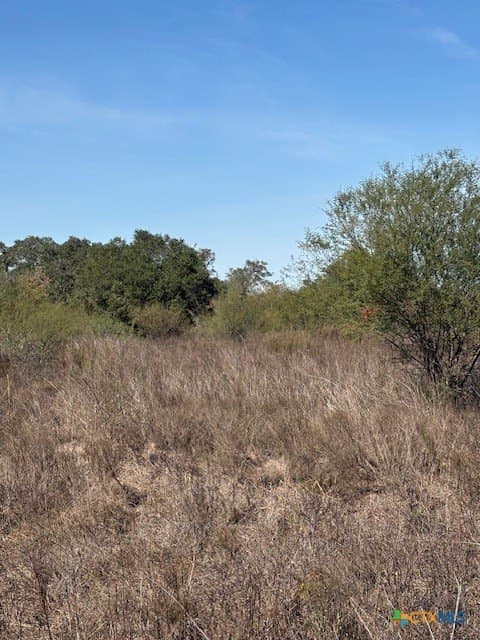15 acres in Goliad County - photo 10