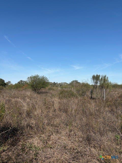 15 acres in Goliad County - photo 9