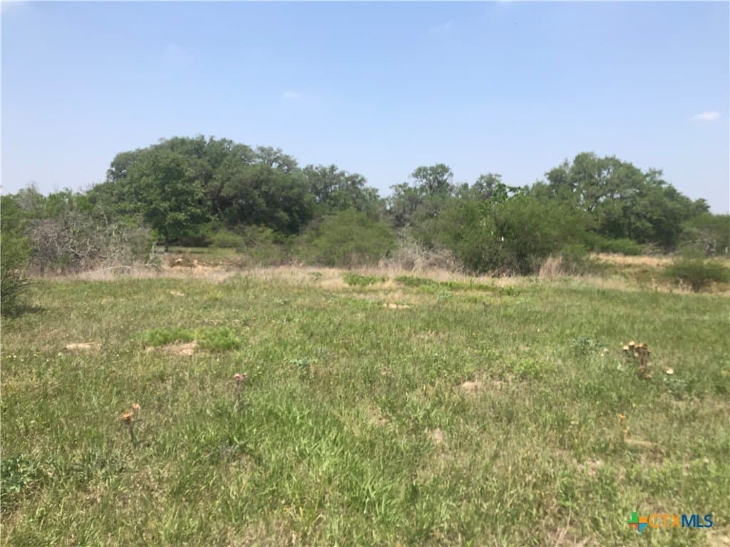 15 acres in Goliad County gallery image 2