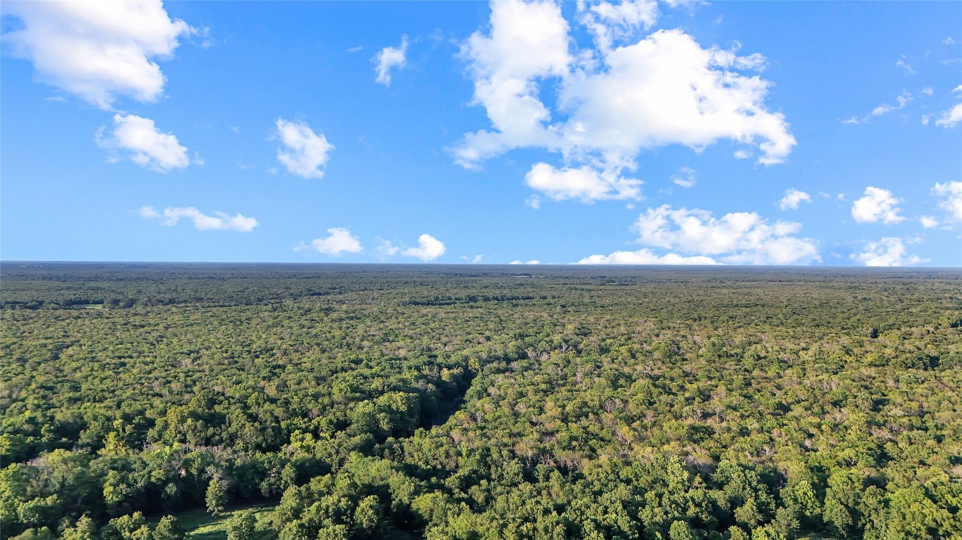 55.97 acres in Red River (TX) County - photo 13