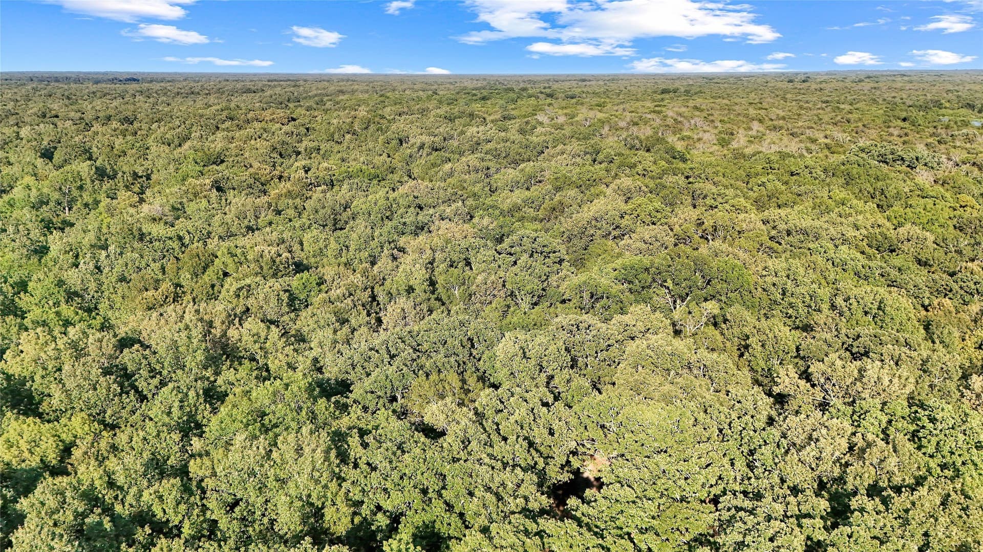 55.97 acres in Red River (TX) County - photo 18