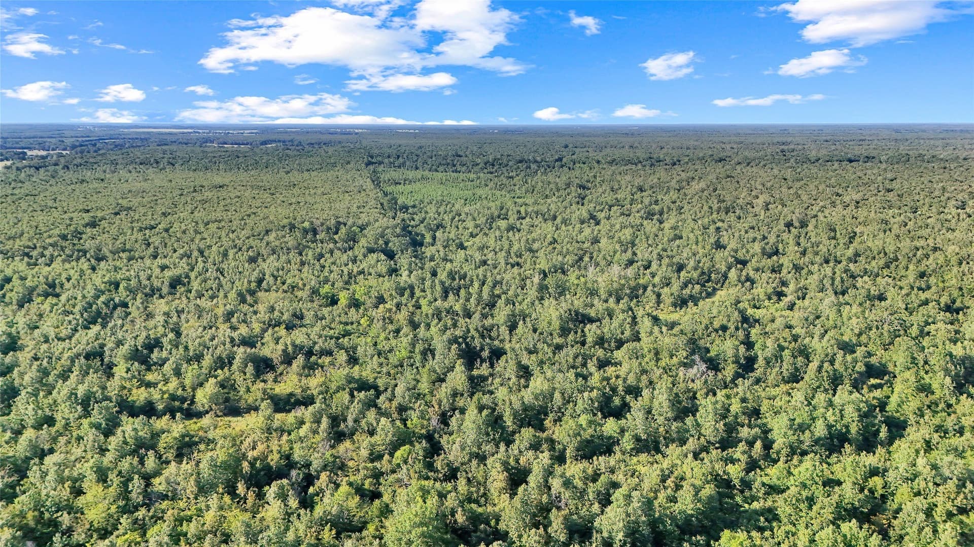 55.97 acres in Red River (TX) County - photo 8