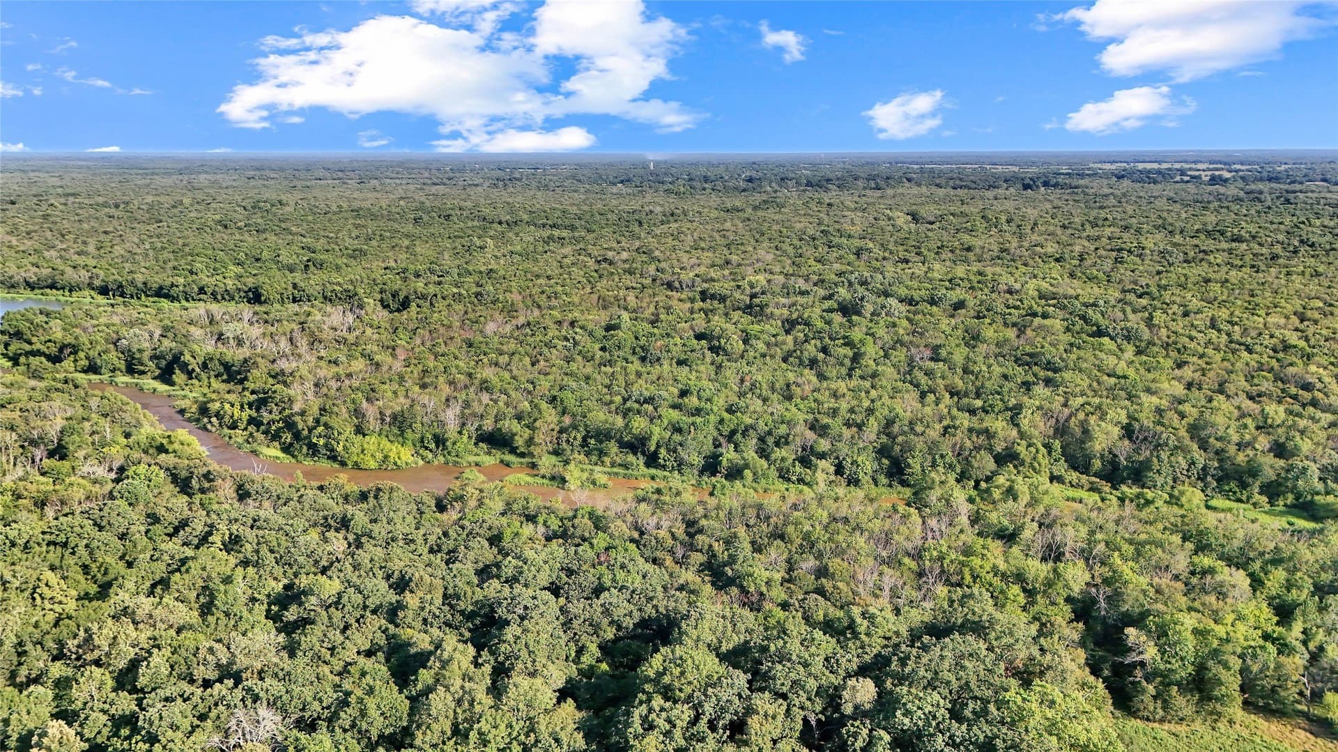 55.97 acres in Red River (TX) County - photo 21