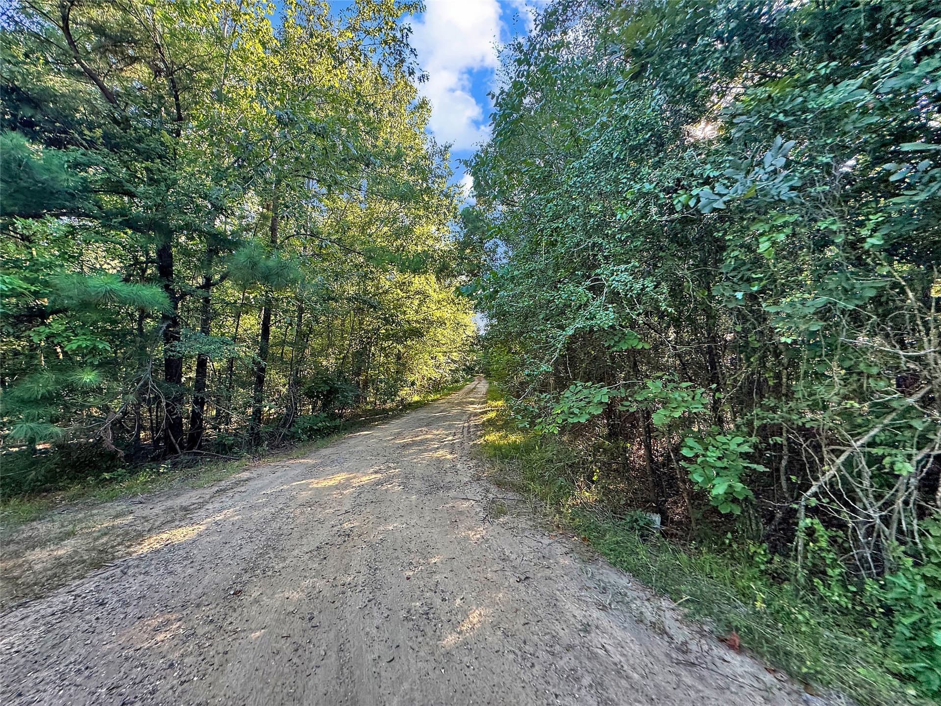 55.97 acres in Red River (TX) County