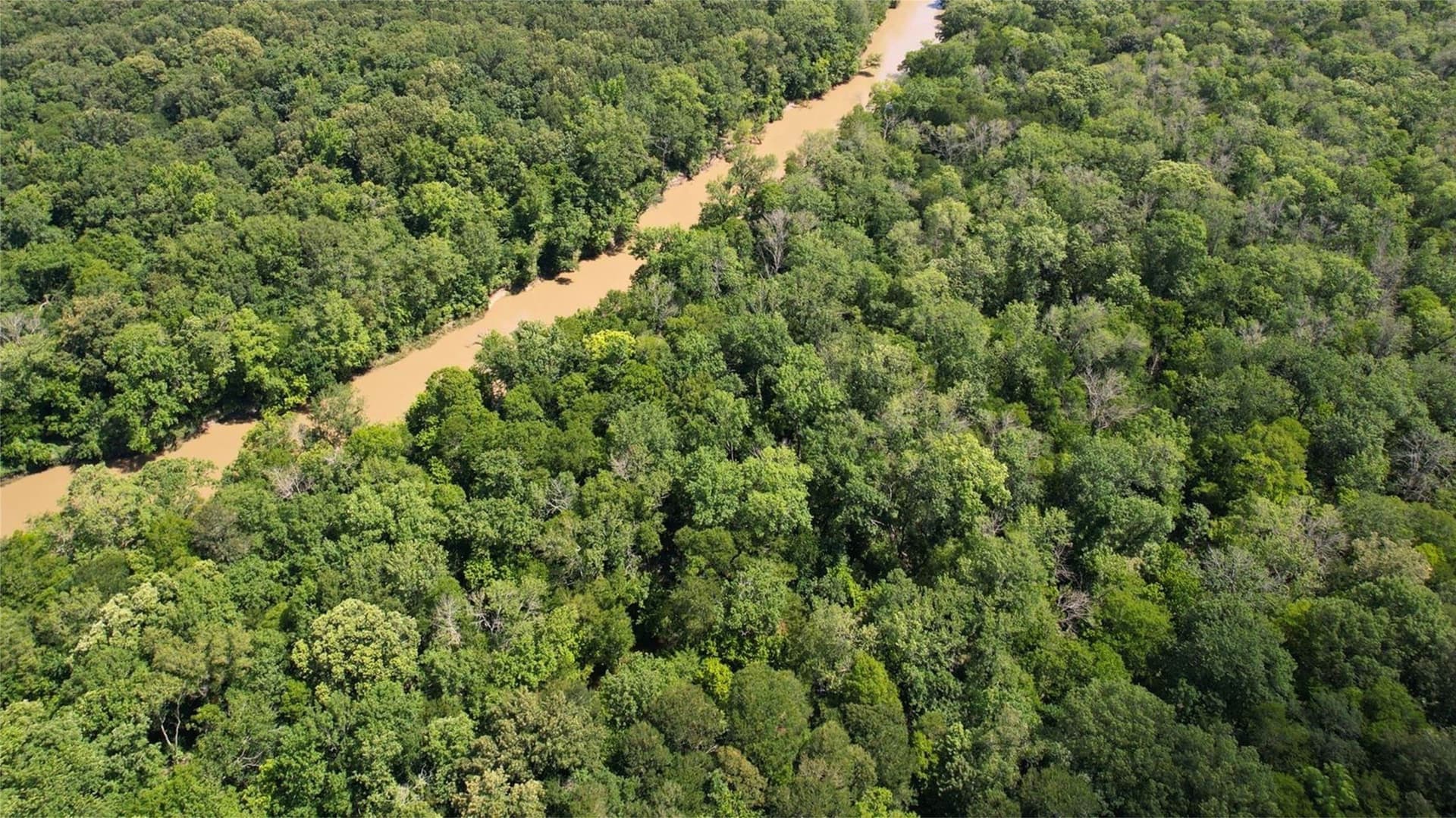 55.97 acres in Red River (TX) County - photo 16