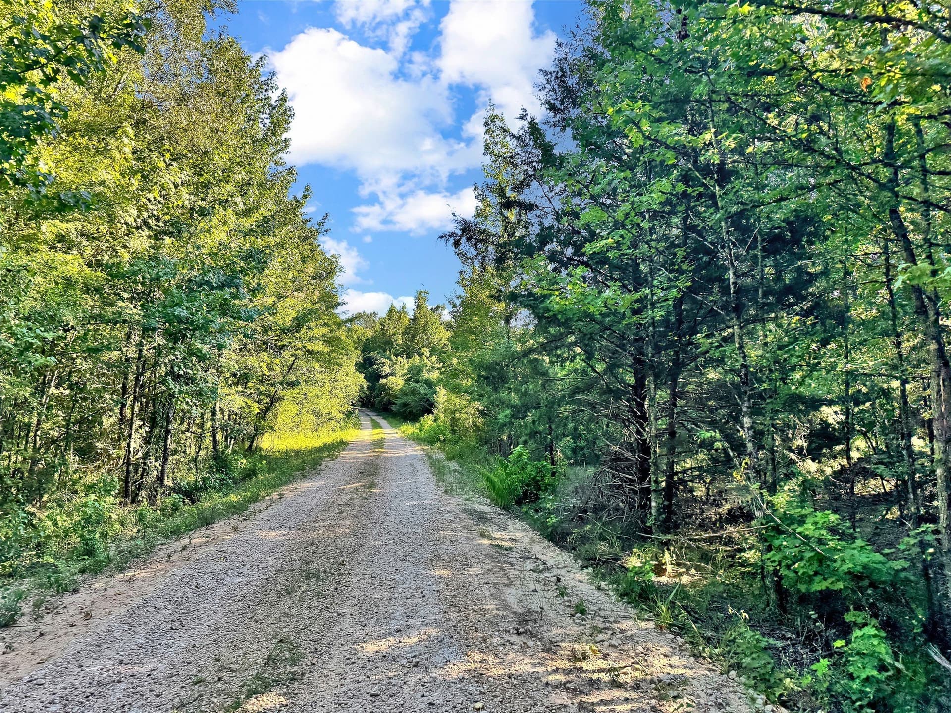 55.97 acres in Red River (TX) County - photo 10