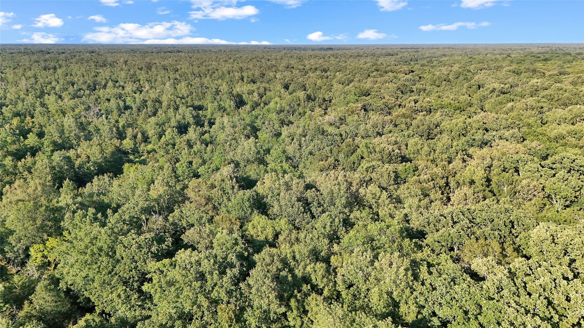 55.97 acres in Red River (TX) County - photo 19