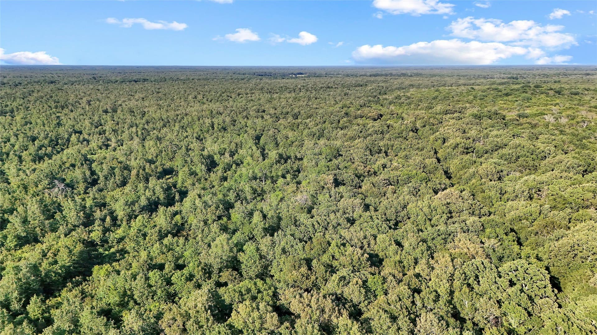 55.97 acres in Red River (TX) County - photo 20