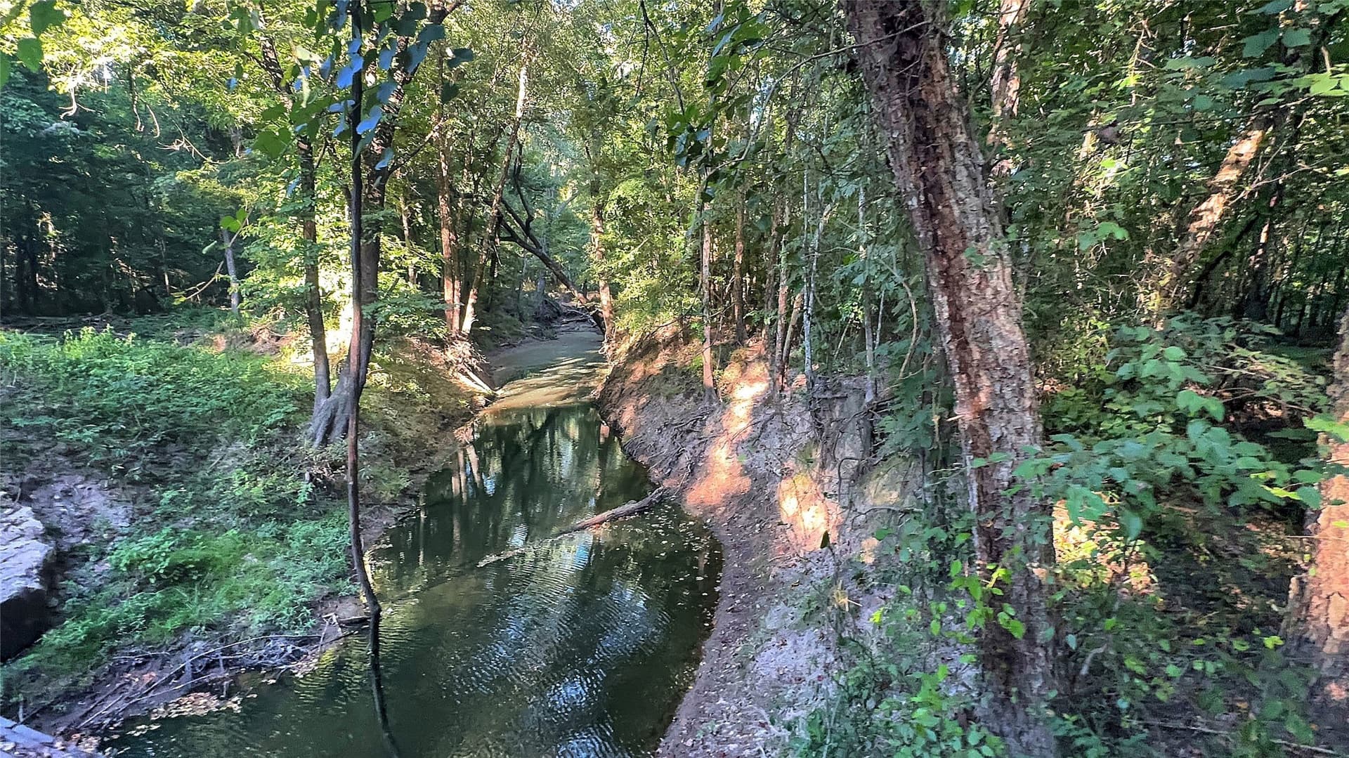 55.97 acres in Red River (TX) County - photo 14