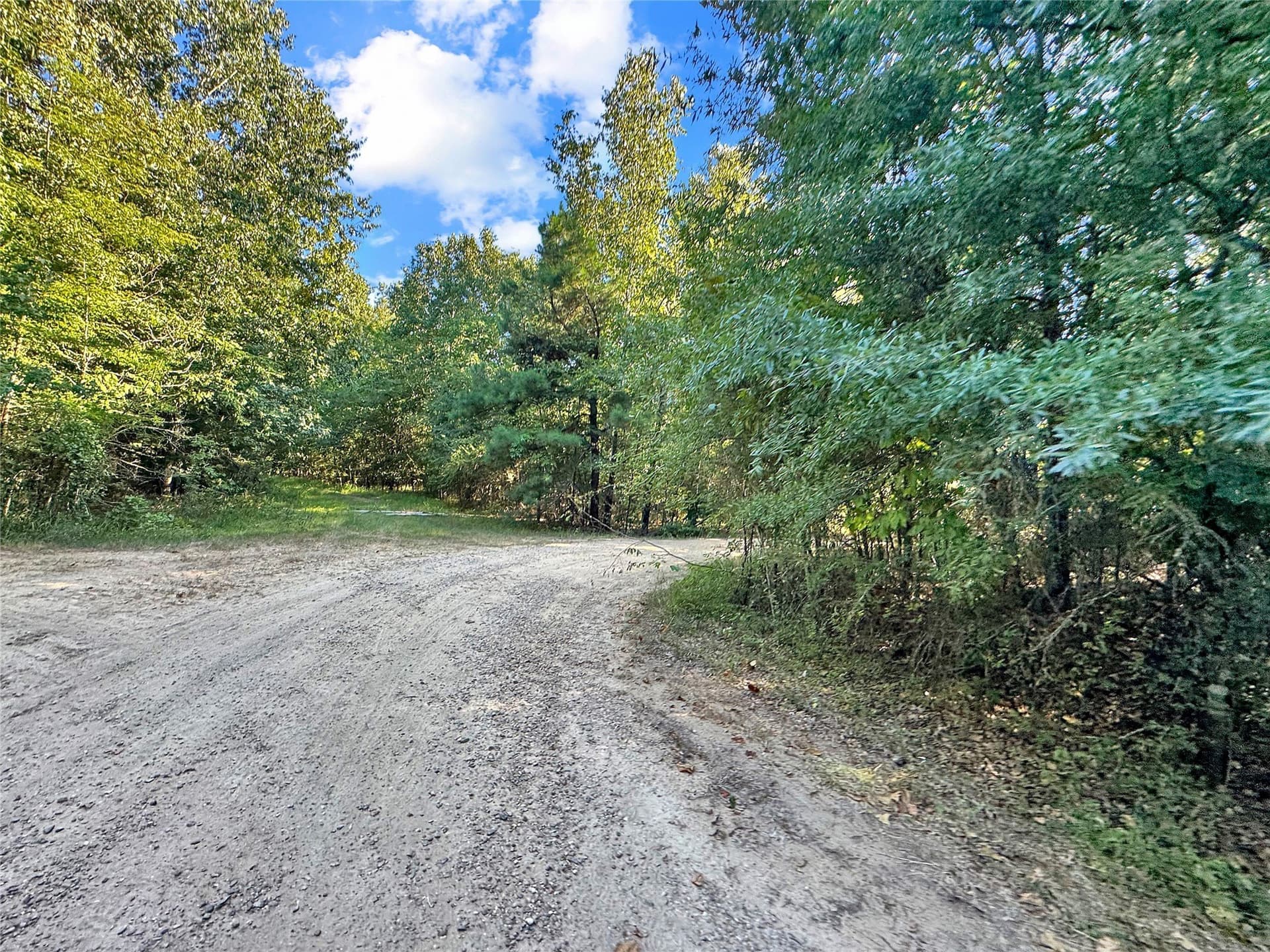 55.97 acres in Red River (TX) County - photo 11