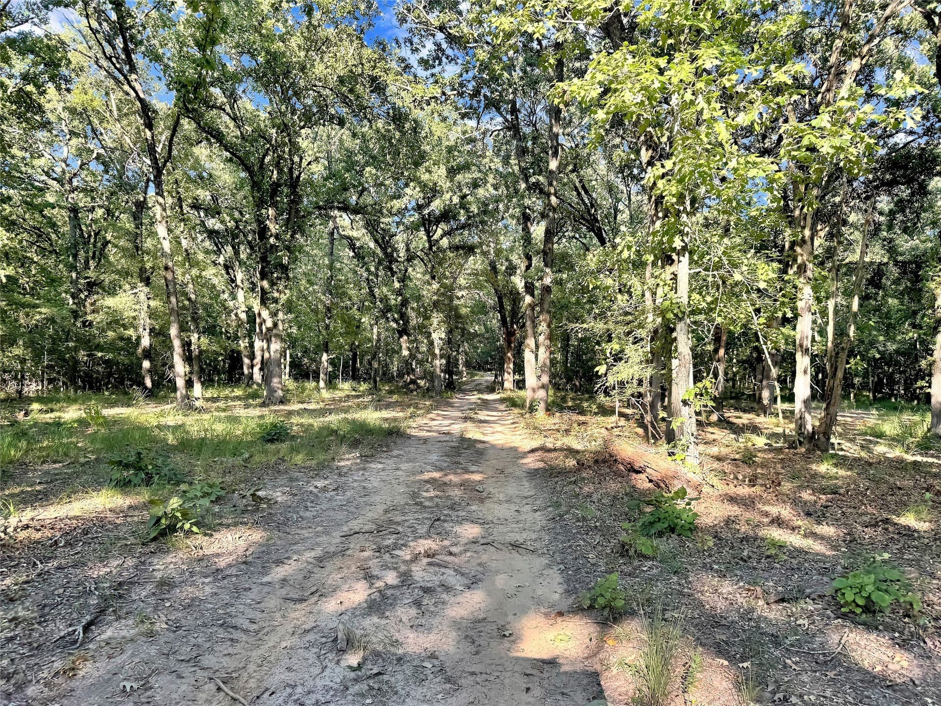 55.97 acres in Red River (TX) County - photo 4