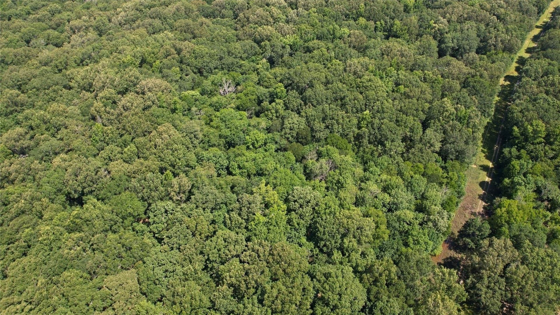 55.97 acres in Red River (TX) County - photo 15